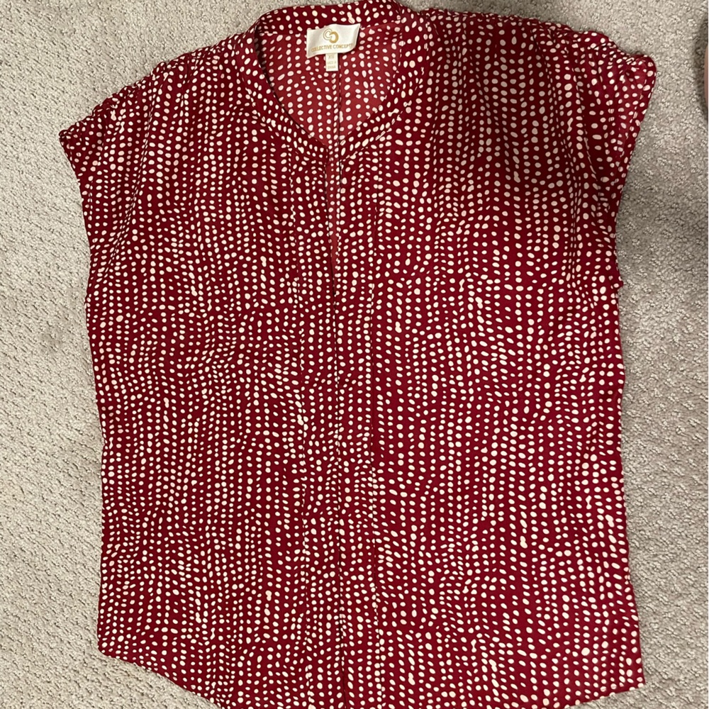 Ted polka dot Collective Concepts button down blouse